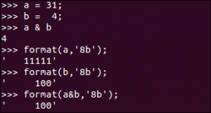 python_binary_format_bitwise_operation_bit_and_sample