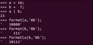 python_binary_format_bitwise_operation_bit_or_sample